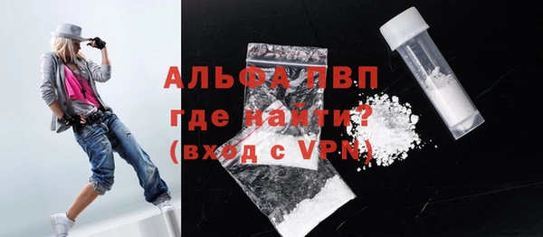 шишки Гусь-Хрустальный