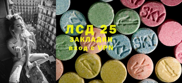 PSILOCYBIN Горно-Алтайск