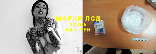 PSILOCYBIN Горно-Алтайск