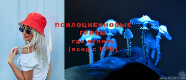 марки nbome Горнозаводск