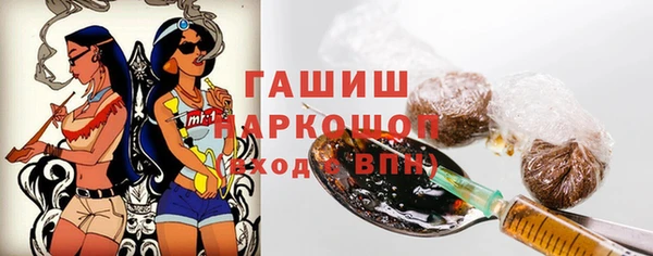 твердый Гусев