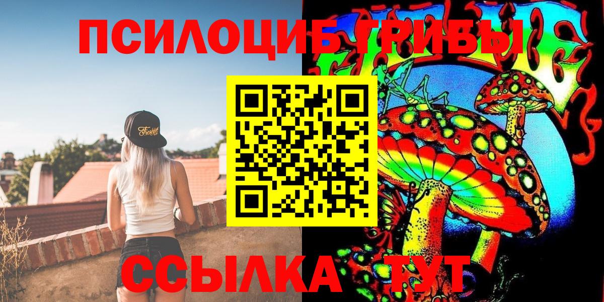 Галлюциногенные грибы Psilocybe Грязи