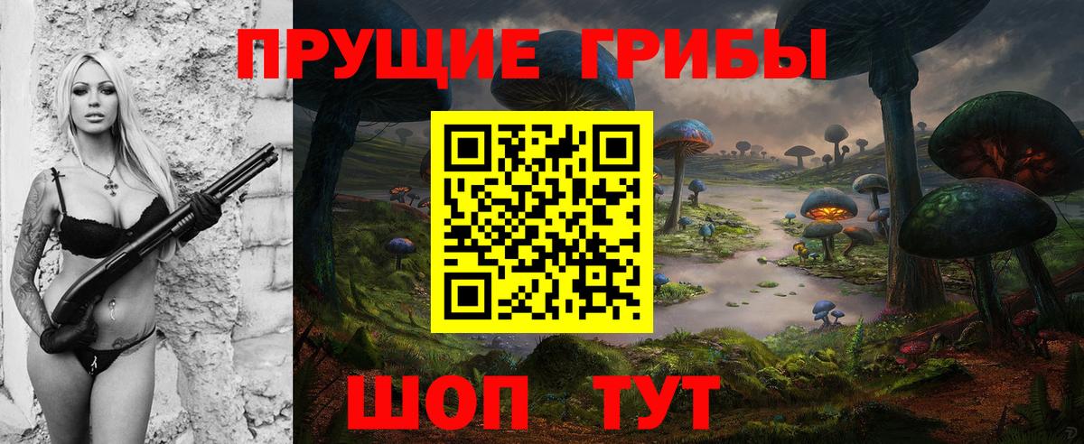 Грязи  Галлюциногенные грибы Psilocybine cubensis  Вход с VPN 